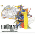 Final Fantasy TCG Sleeve: Final Fantasy I "Warrior of Light"