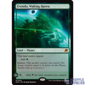 Evendo, Waking Haven - Edge of Eternities (EOE)