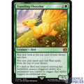 Magic the Gathering: "Traveling Chocobo" | FIN